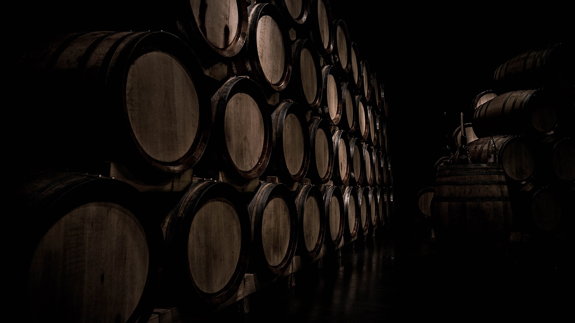 Vino Cosechero del Año